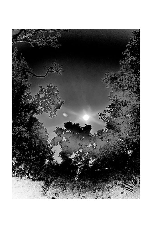 Backlit Backyard Barbequeux