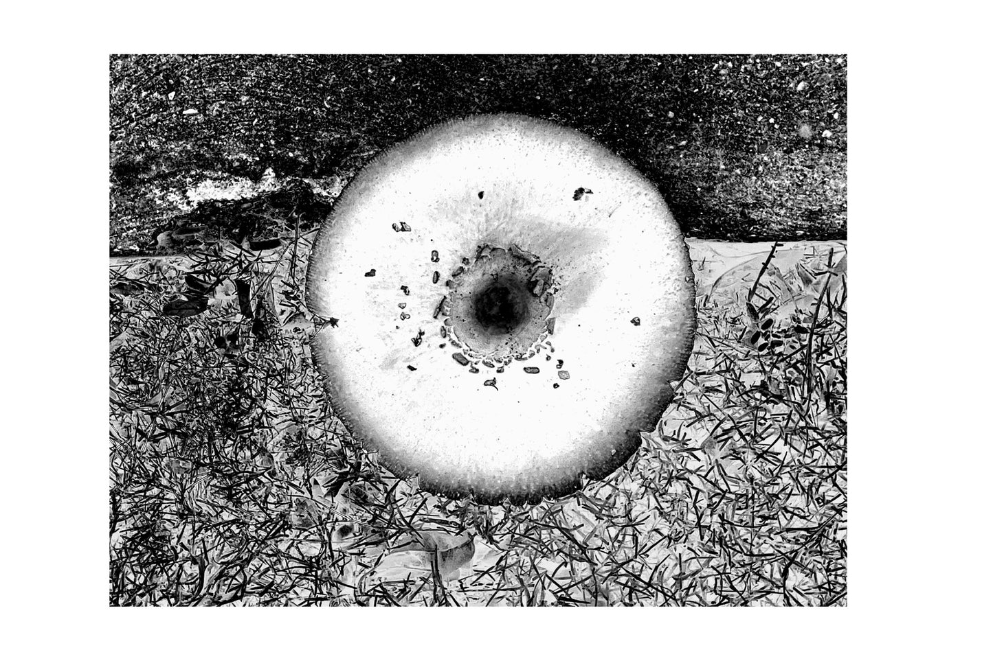 One Side Will Make You Grow Taller