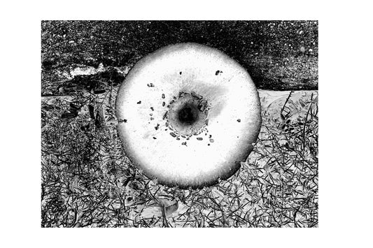 One Side Will Make You Grow Taller